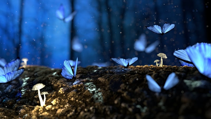 Magical Forest Backdrops